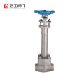 Extended Stem Forged Steel Globe Valve 800lb